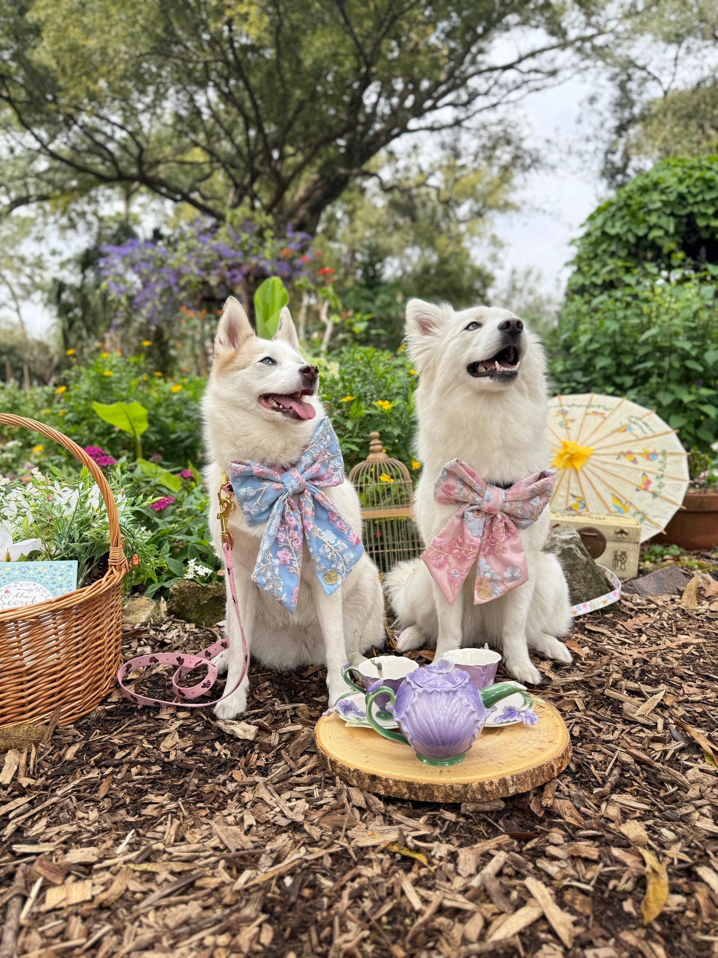 Briar & Primrose ๐ฆ๐ธ