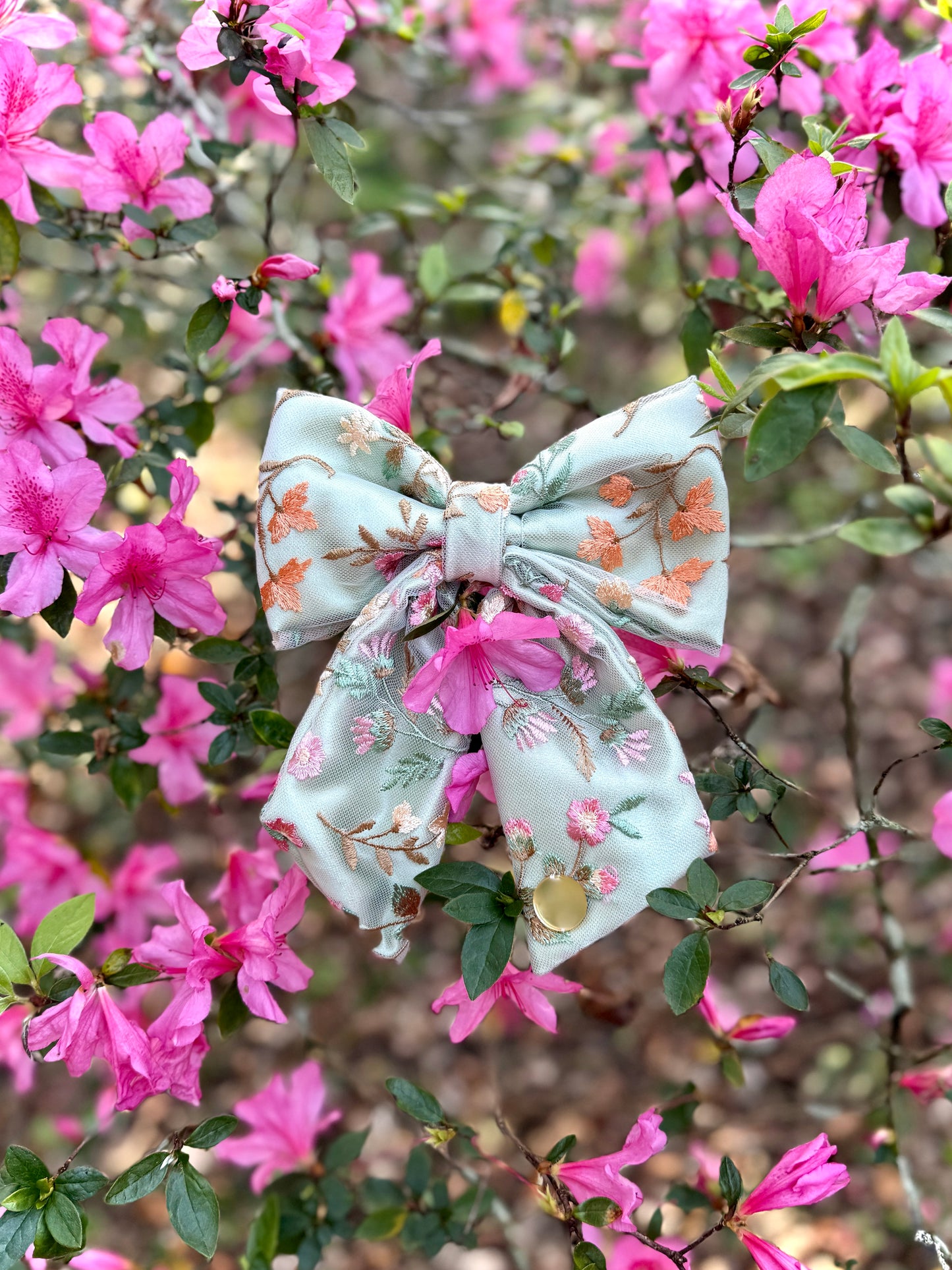 Fia🌿🌸🍊