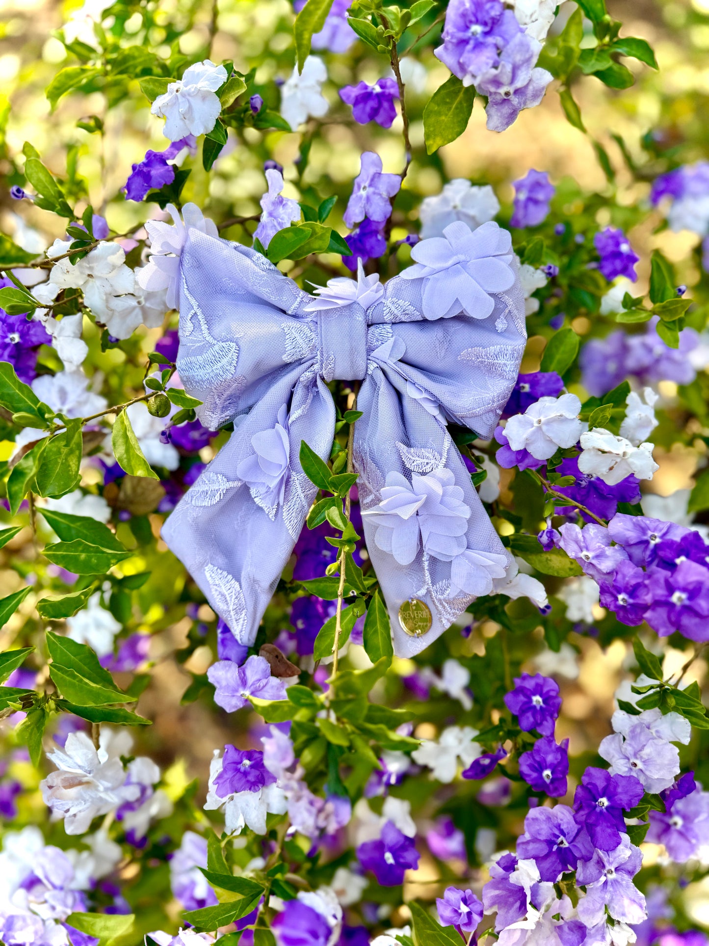 Wisteria🪻