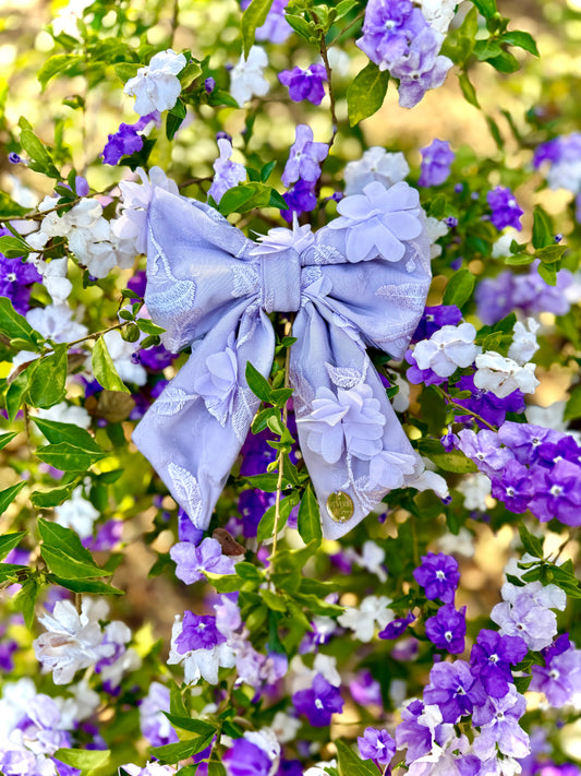 Wisteria🪻