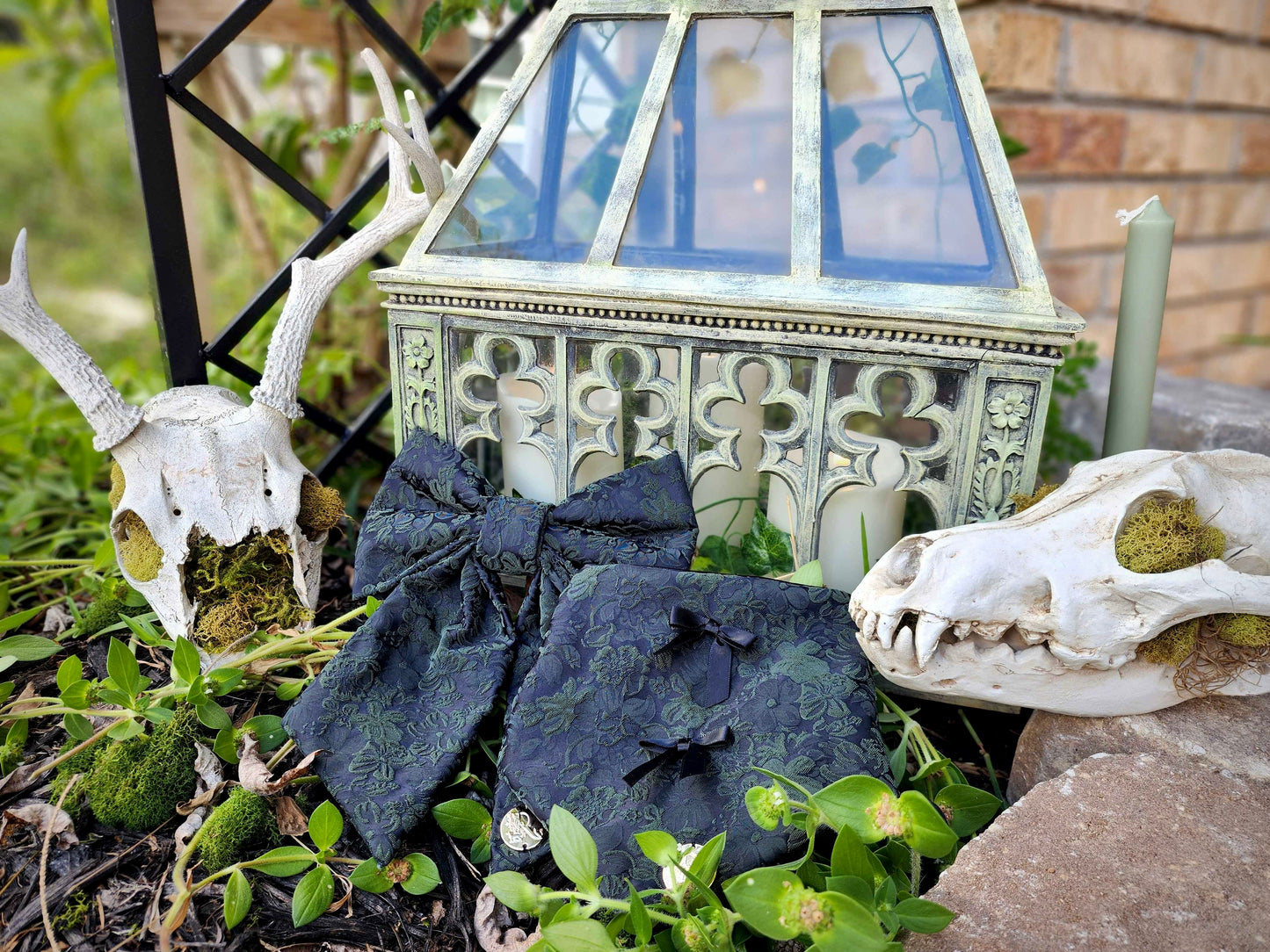 The Forgotten Greenhouse