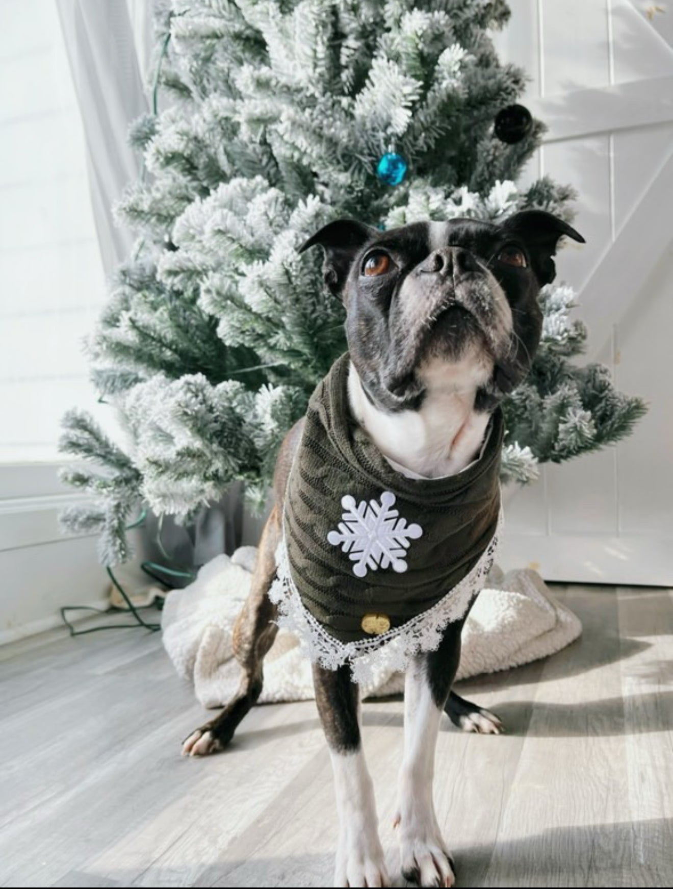 Let it Snow
