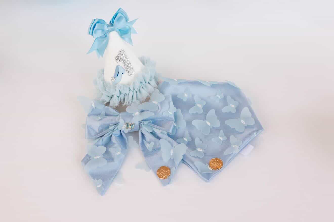 The Princess Ella Bow 🦋