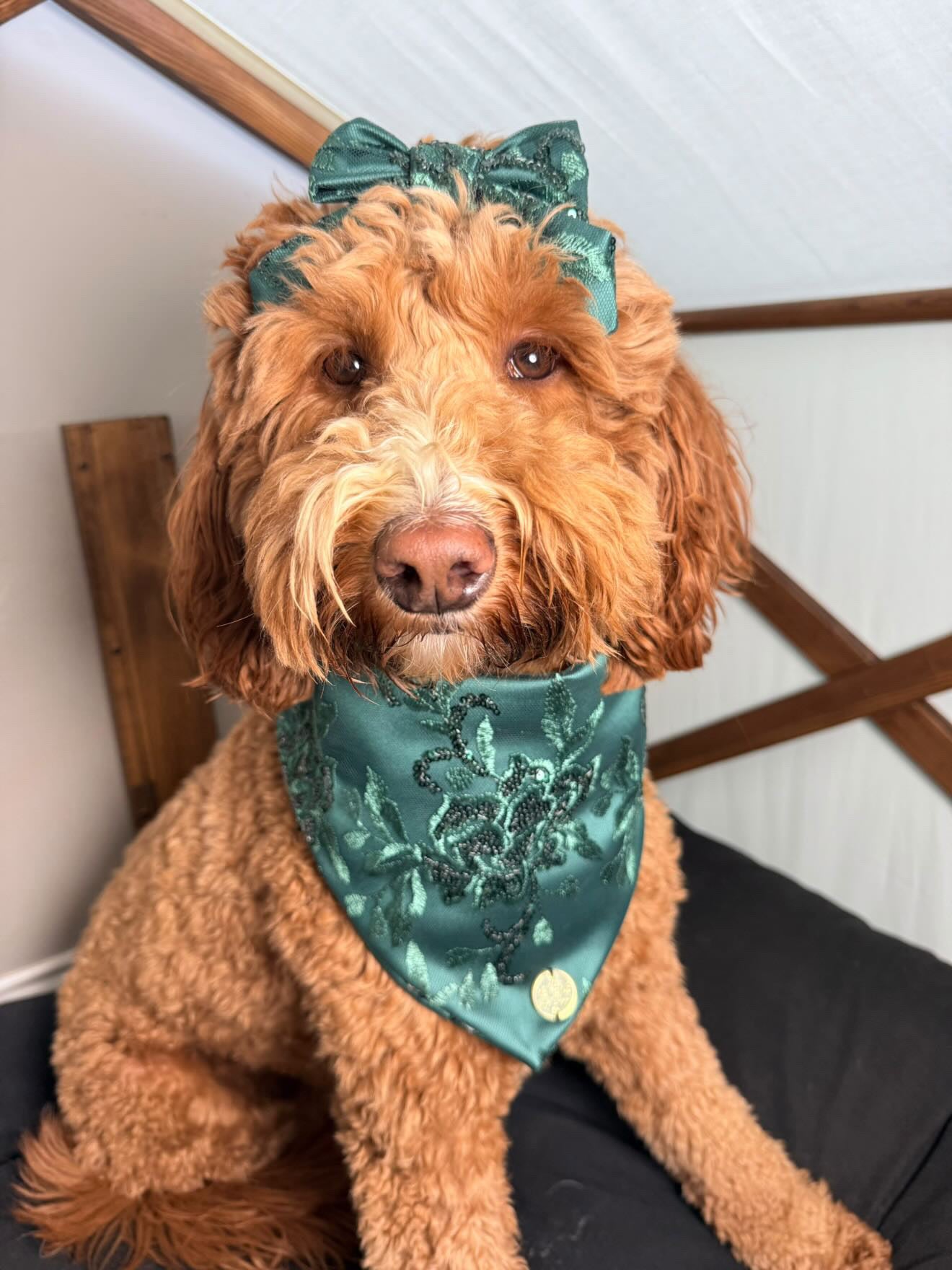 Ivy 🍀👒🌿
