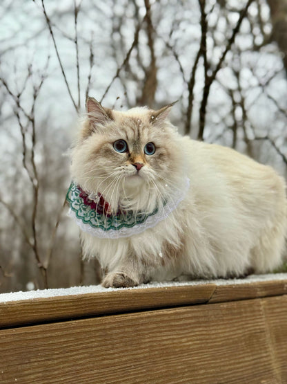 The Victoria Collar