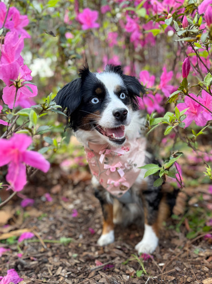 Paris 🌷