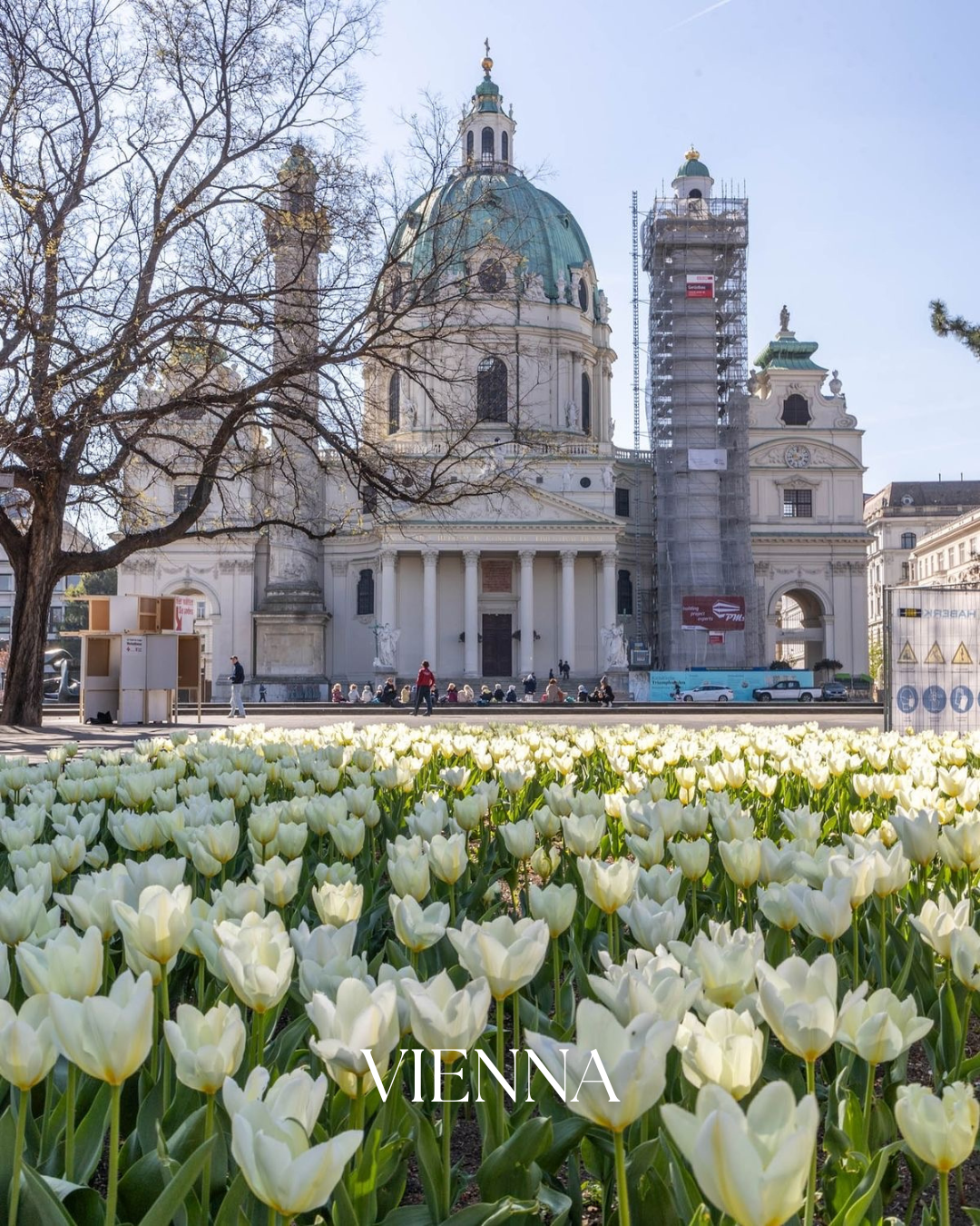 Vienna 👒