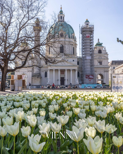 Vienna 👒