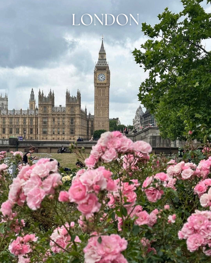 Paris 🌷