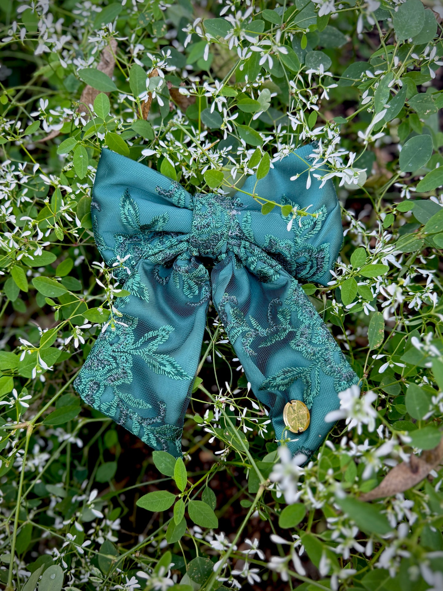 Ivy 🍀👒🌿