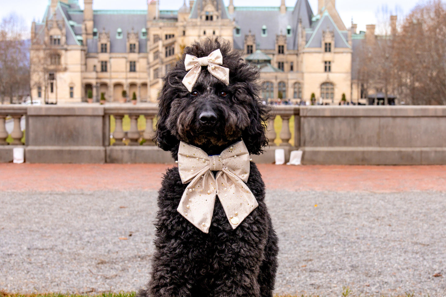 The Auld Lang Syne Bow