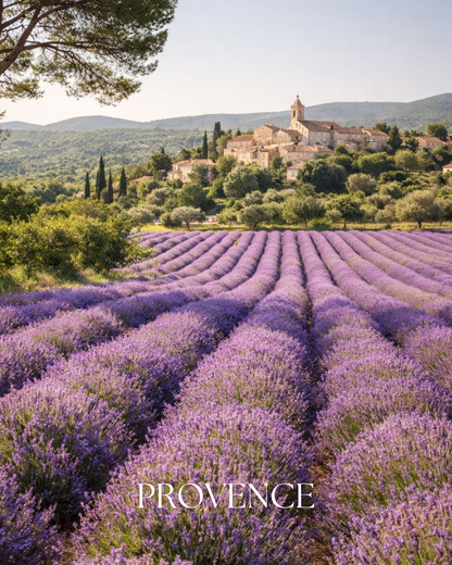 Provence 🪻