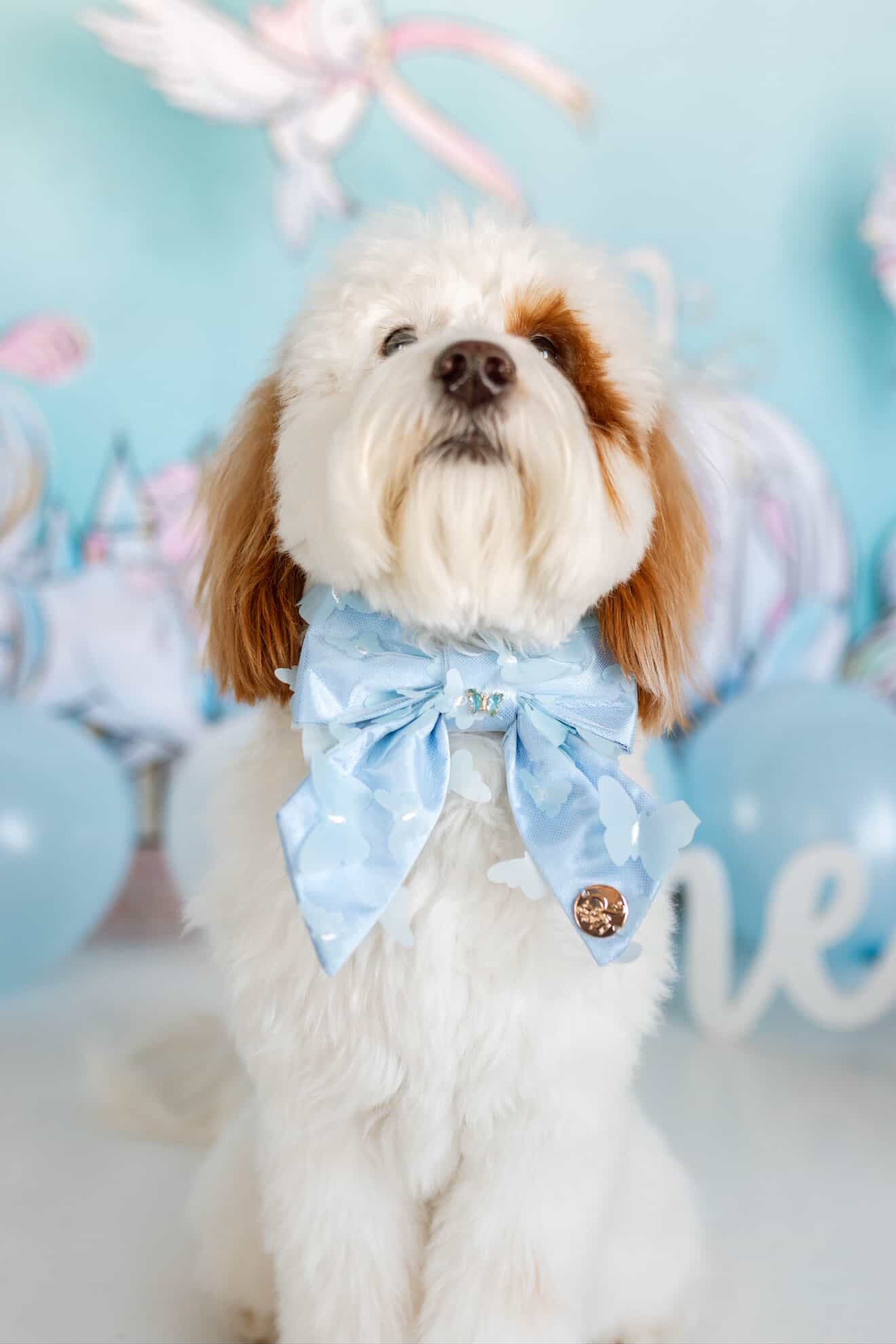 The Princess Ella Bow 🦋