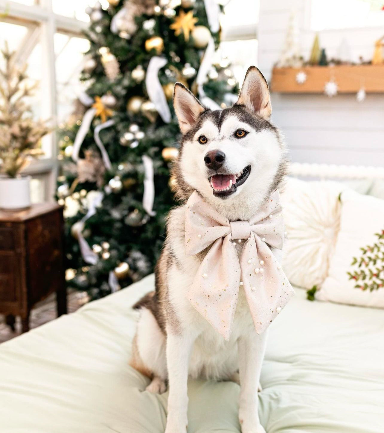 The Auld Lang Syne Bow